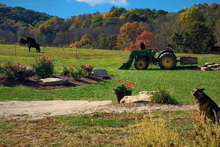 About Rustic Barn & Farm Wedding Venues a 0 Appalachian Farm Weddings